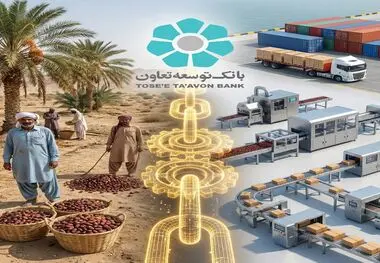 ابتکار عمل حاکمیتی وزارت تعاون، کار و رفاه اجتماعی با تبیین نقش عملیاتی بانک توسعه تعاون
