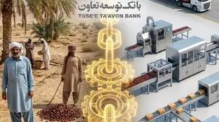 ابتکار عمل حاکمیتی وزارت تعاون، کار و رفاه اجتماعی با تبیین نقش عملیاتی بانک توسعه تعاون
