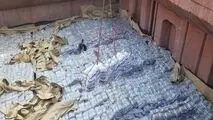 واردات انبوه برنج دوباره آغاز شد