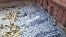 واردات انبوه برنج دوباره آغاز شد
