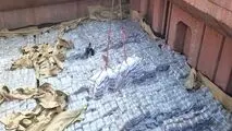 واردات انبوه برنج دوباره آغاز شد