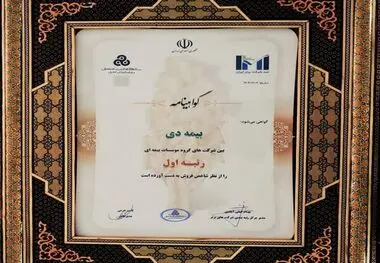بیمه دی رتبه اول مؤسسات بیمه ای کشور شد
