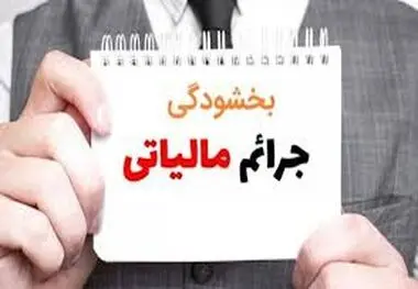 خبر مهم برای بدهکاران مالیاتی؛ آخرین مهلت بخشودگی جرایم

