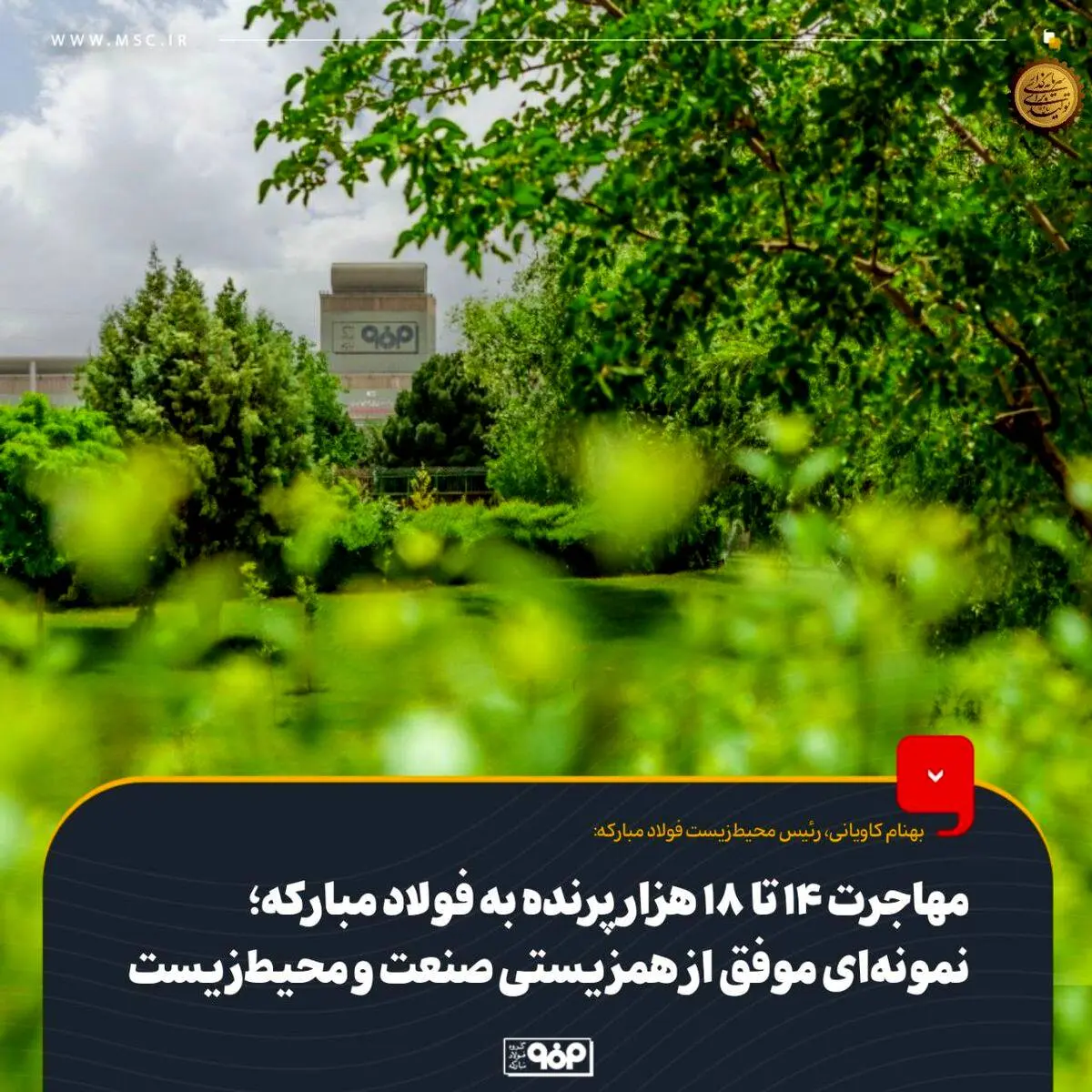 مهاجرت 14 تا 18 هزار پرنده به فولاد مبارکه؛ نمونه‌ای موفق از همزیستی صنعت و محیط‌زیست