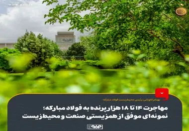 مهاجرت 14 تا 18 هزار پرنده به فولاد مبارکه؛ نمونه‌ای موفق از همزیستی صنعت و محیط‌زیست