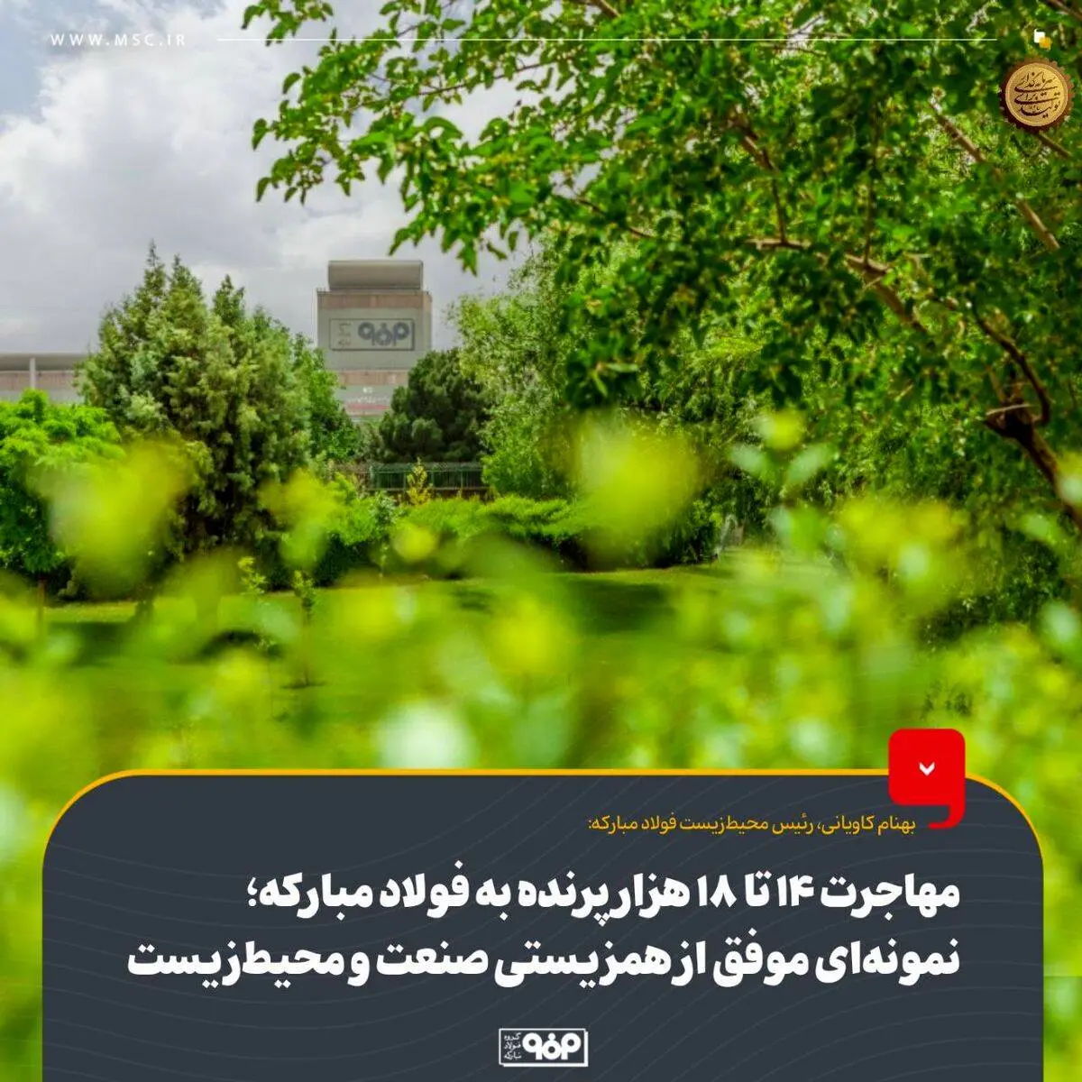 مهاجرت 14 تا 18 هزار پرنده به فولاد مبارکه؛ نمونه‌ای موفق از همزیستی صنعت و محیط‌زیست