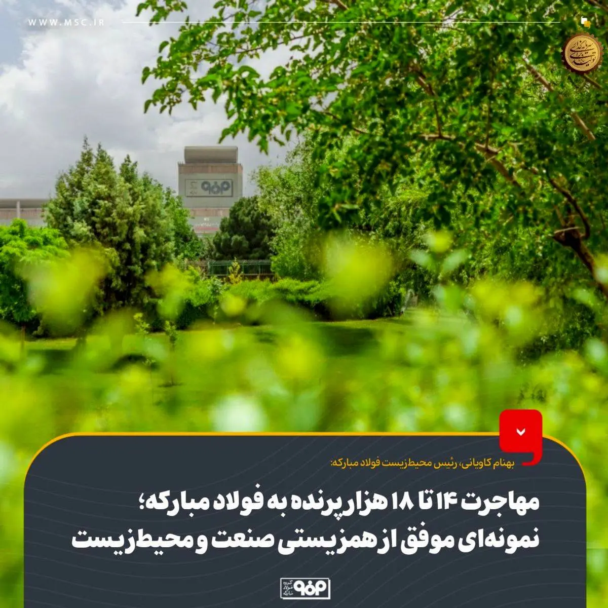 مهاجرت 14 تا 18 هزار پرنده به فولاد مبارکه؛ نمونهای موفق از همزیستی صنعت و محیطزیست