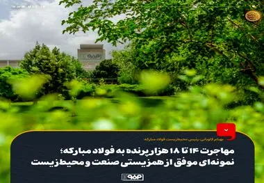 مهاجرت 14 تا 18 هزار پرنده به فولاد مبارکه؛ نمونه‌ای موفق از همزیستی صنعت و محیط‌زیست