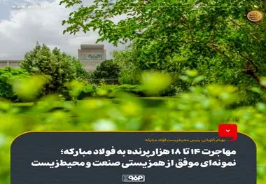 مهاجرت 14 تا 18 هزار پرنده به فولاد مبارکه؛ نمونه‌ای موفق از همزیستی صنعت و محیط‌زیست