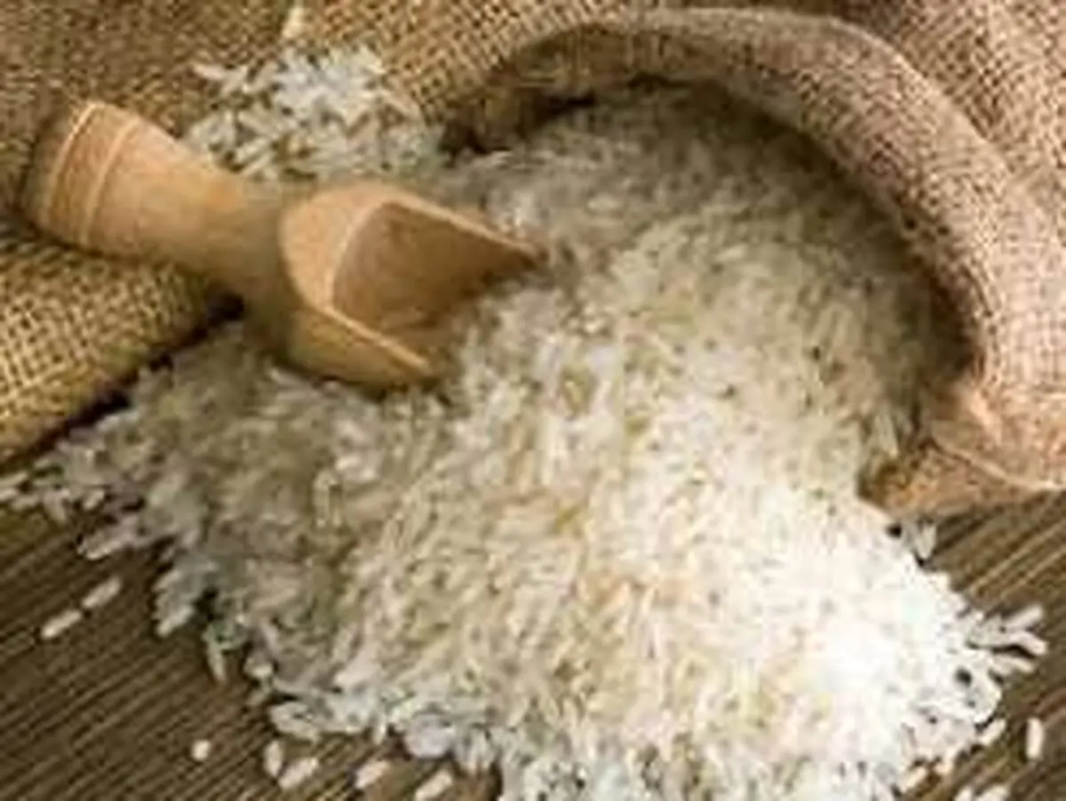 بخش خصوصی همچنان به تنهایی بار تأمین کالای اساسی را به دوش می‌کشد