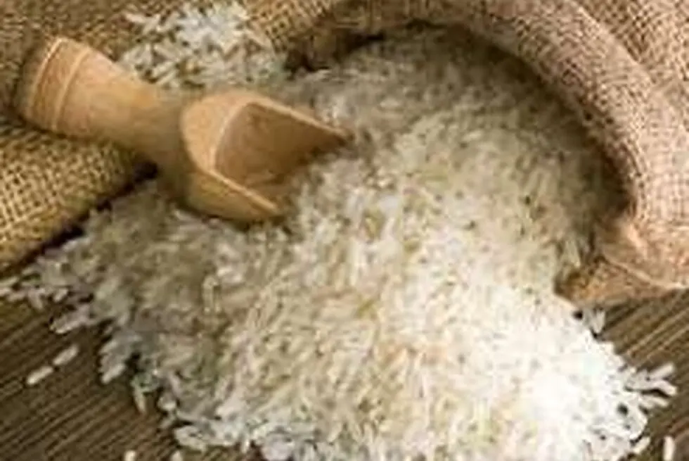 بخش خصوصی همچنان به تنهایی بار تأمین کالای اساسی را به دوش می‌کشد