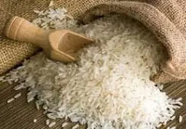 بخش خصوصی همچنان به تنهایی بار تأمین کالای اساسی را به دوش می‌کشد