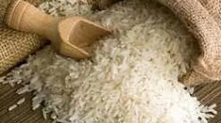 بخش خصوصی همچنان به تنهایی بار تأمین کالای اساسی را به دوش می‌کشد