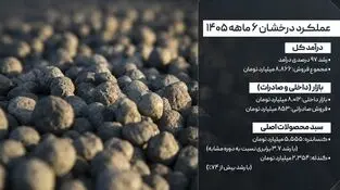 فروش ۶ ماهه؛ رشد ۹۷ درصدی درآمد
