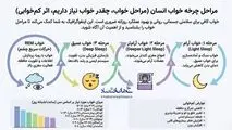 اینفوگرافی