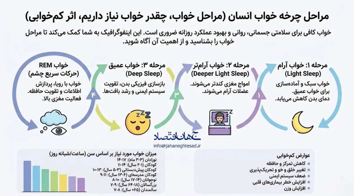 اینفوگرافی