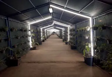 مسیر عبور کارکنان فولاد هرمزگان با طراحی سبز بازآفرینی شد