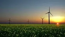 جهان اقتصاد بررسی می‌کند؛ 

طلای سبز در خاک‌های فقیر /  نبرد کشورهای در حال توسعه برای تصاحب آینده انرژی