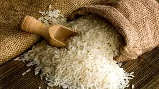 ضرورت پرداخت مطالبات و مدیریت راه‌های جایگزین برای واردات برنج