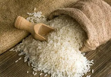 ضرورت پرداخت مطالبات و مدیریت راه‌های جایگزین برای واردات برنج