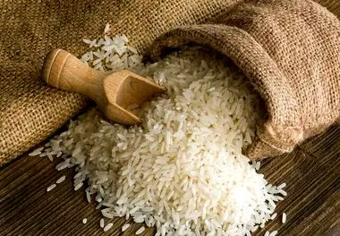 ضرورت پرداخت مطالبات و مدیریت راه‌های جایگزین برای واردات برنج