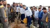 ادامه مسیر توسعه با تاکید بر محیط زیست

