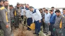 ادامه مسیر توسعه با تاکید بر محیط زیست

