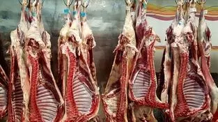 جولان دلالان در بازار گوشت