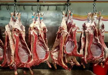 جولان دلالان در بازار گوشت