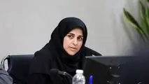 معاون برنامه‌ریزی و توانمندسازی ایمیدرو؛وزارت صمت و اقتصاد از توسعه بازار گواهی سپرده کالایی حمایت کرده‌اند

