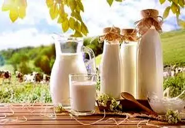 این نوشیدنی پرخاصیت عضله ساز و دوست دستگاه گوارش است

