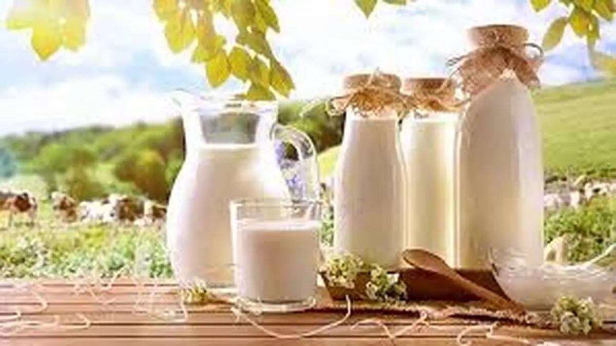 این نوشیدنی پرخاصیت عضله ساز و دوست دستگاه گوارش است
