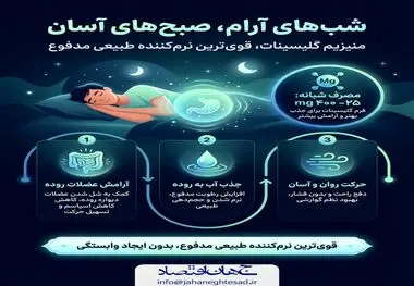 اینفوگرافی