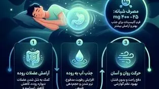 اینفوگرافی