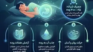 اینفوگرافی