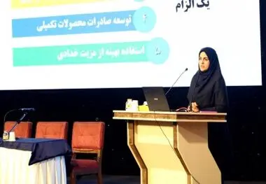 برنامه احداث نخستین واحد تولید گاز از زغال با همکاری "ایمیدرو" و "صدر تامین"