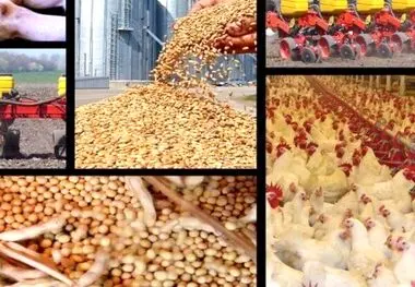 قیمت انواع نهاده های دامی و محصولات کشاورزی ۲۸ خرداد ۱۴۰۲