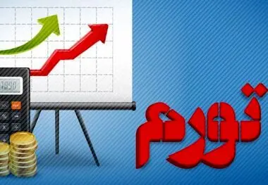 نماینده مجلس: دولت در مورد تورم دروغ می گوید