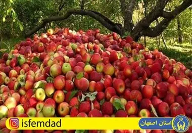 تبلوری از دستگیری نیازمندان با سخاوتمندی باغداران اصفهانی