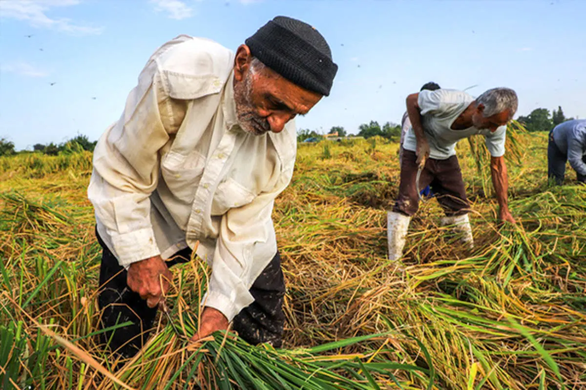 دوسوم کشور دارای حداقل بارندگی است