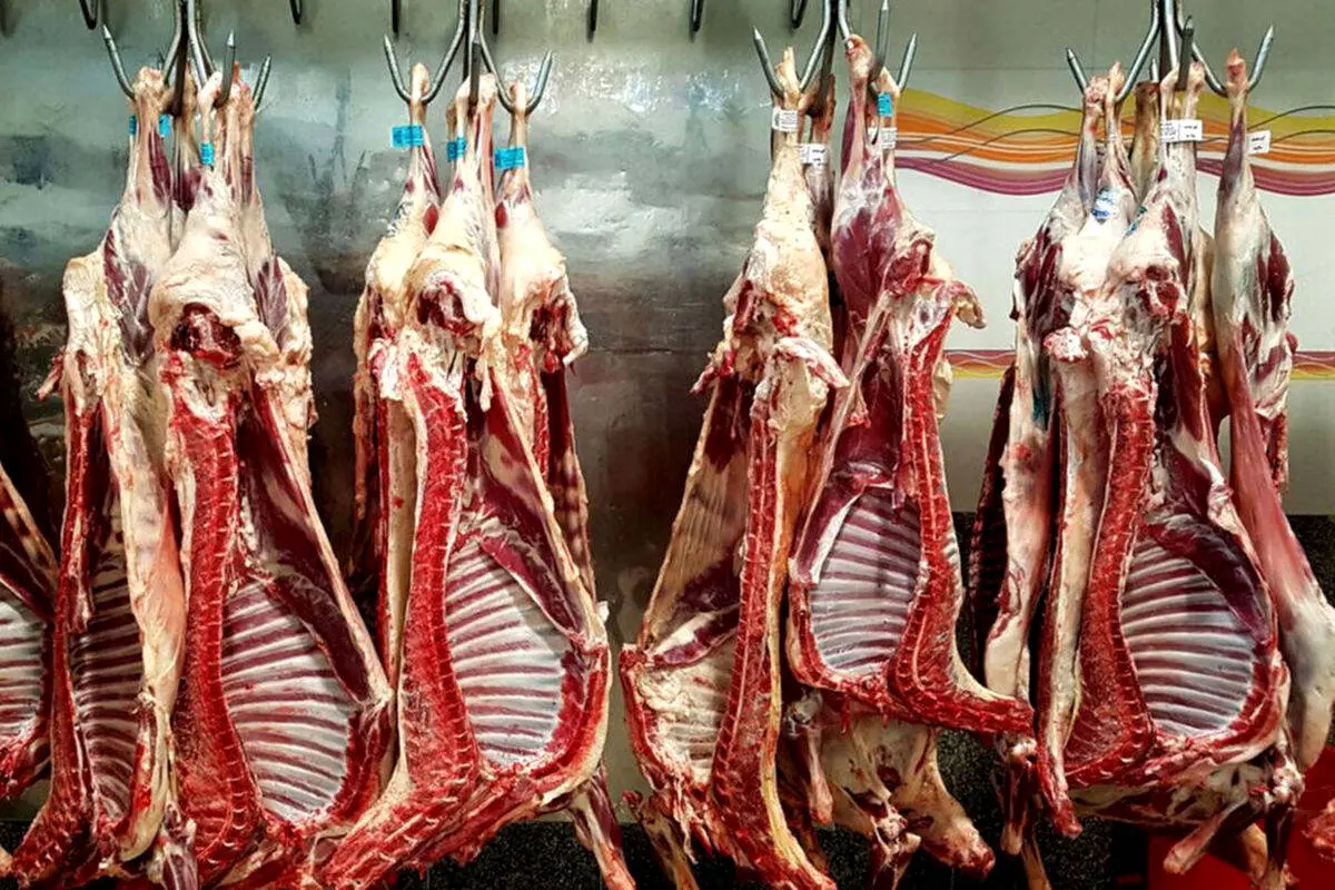 قیمت جدید گوشت گوسفندی