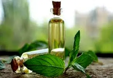 قیمت انواع روغن‌ نباتی کاهش می‌یابد