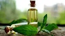 قیمت انواع روغن‌ نباتی کاهش می‌یابد
