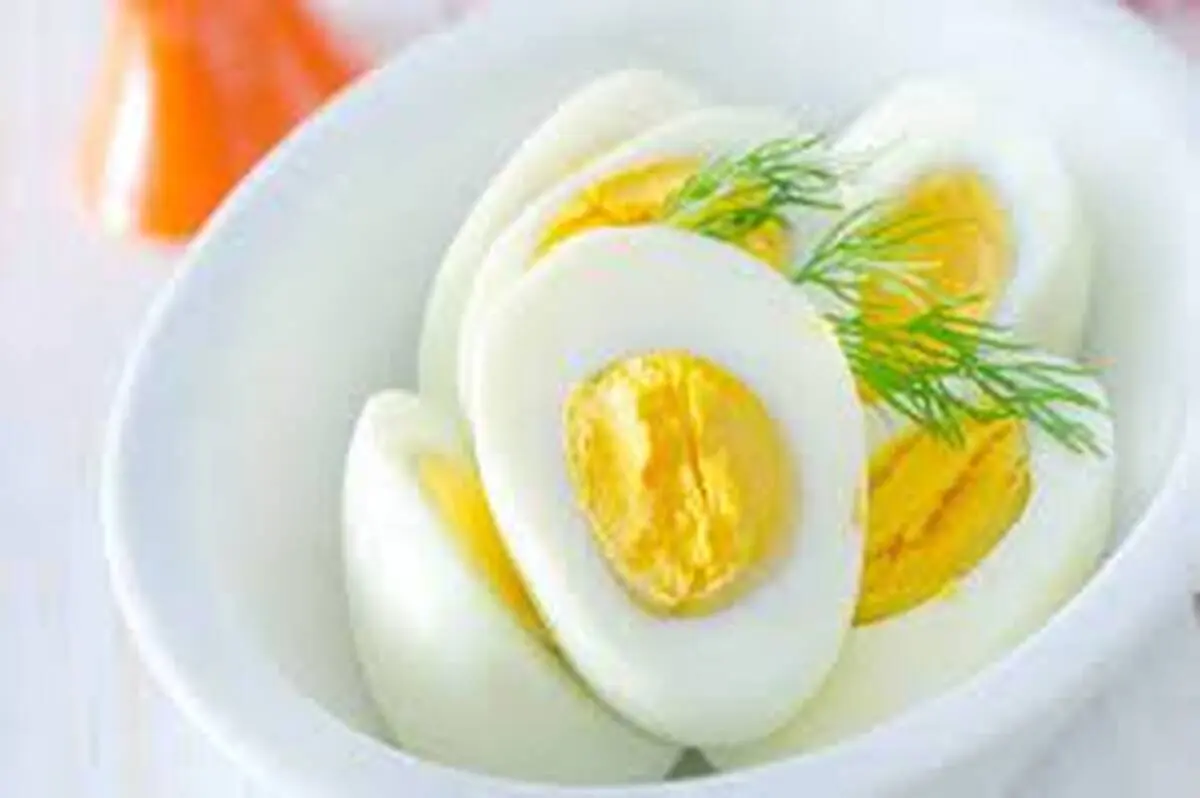 به هیچ وجه مصرف تخم مرغ را قطع نکنید!