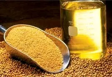 ترخیص روغن سویا و آفتابگردان از گمرکات ممنوع شد