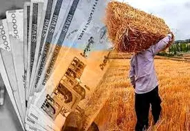 مطالبات معوق گندم‌کاران گرمسیری تسویه شد