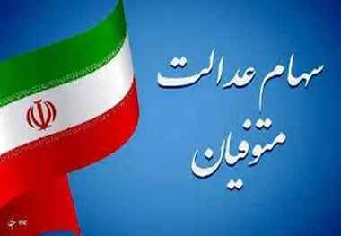از سامانه انتقال سهام عدالت متوفیان رونمایی شد