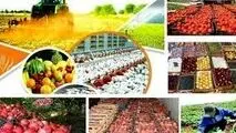 طرح شناسه‌دار شدن محصولات کشاورزی کلید خورد