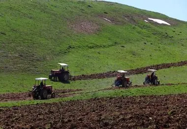 کاهش تورم تولید بخش کشاورزی در تابستان ۱۴۰۲