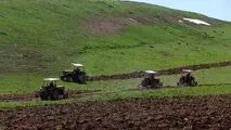 کاهش تورم تولید بخش کشاورزی در تابستان ۱۴۰۲